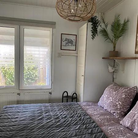 Goodmorning Dirkshorn