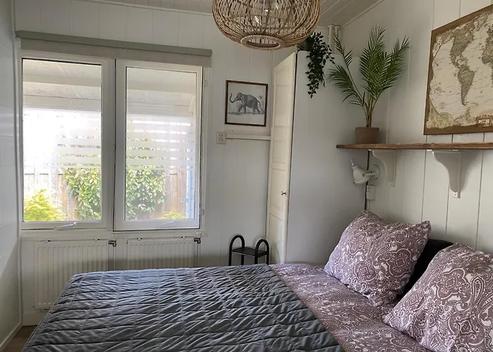 Goodmorning Dirkshorn